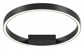 Накладной светильник Maytoni Rim MOD058CL-L25BK в Режи - rezh.mebel24.online | фото