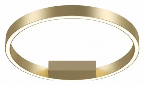 Накладной светильник Maytoni Rim MOD058CL-L25BSK в Режи - rezh.mebel24.online | фото 2
