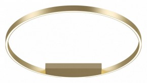 Накладной светильник Maytoni Rim MOD058CL-L50BSK в Режи - rezh.mebel24.online | фото 2