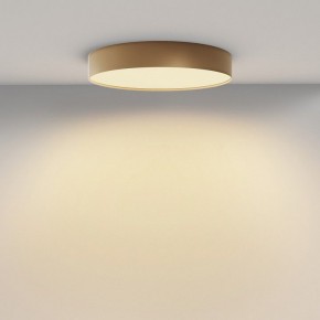 Накладной светильник Maytoni Zon C032CL-45W2.7K-RD-MG в Режи - rezh.mebel24.online | фото 4