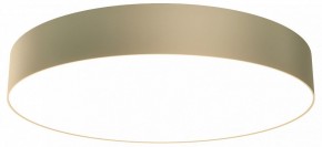 Накладной светильник Maytoni Zon C032CL-45W3K-RD-MG в Режи - rezh.mebel24.online | фото