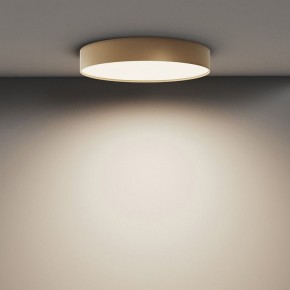 Накладной светильник Maytoni Zon C032CL-45W4K-RD-MG в Режи - rezh.mebel24.online | фото 4