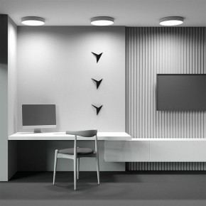 Накладной светильник Maytoni Zon C032CL-45W4K-RD-MG в Режи - rezh.mebel24.online | фото 5