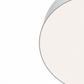 Накладной светильник Maytoni Zon C032CL-L96W4K в Режи - rezh.mebel24.online | фото