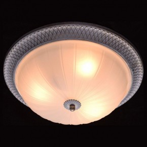 Накладной светильник MW-Light Ариадна 450013603 в Режи - rezh.mebel24.online | фото 2