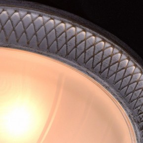 Накладной светильник MW-Light Ариадна 450013603 в Режи - rezh.mebel24.online | фото 9