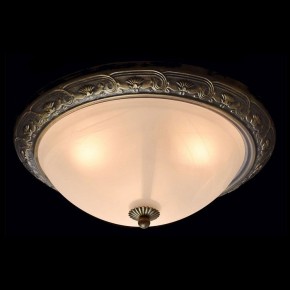 Накладной светильник MW-Light Ариадна 450015703 в Режи - rezh.mebel24.online | фото 2
