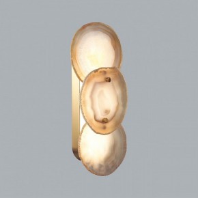 Накладной светильник Odeon Light Agate 7065/10WL в Режи - rezh.mebel24.online | фото 2