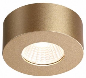Накладной светильник Odeon Light Bene 4284/7CL в Режи - rezh.mebel24.online | фото 4