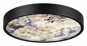Накладной светильник Odeon Light Bergi 5064/30L в Режи - rezh.mebel24.online | фото 4