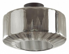 Накладной светильник Odeon Light Binga 4746/1C в Режи - rezh.mebel24.online | фото 2