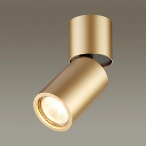 Накладной светильник Odeon Light Duetta 3895/1C в Режи - rezh.mebel24.online | фото 2