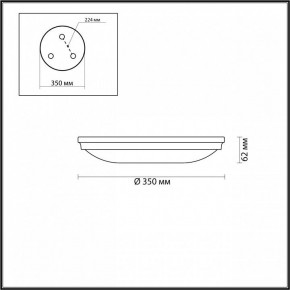 Накладной светильник Odeon Light Pelow 4956/4 в Режи - rezh.mebel24.online | фото 3