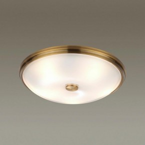 Накладной светильник Odeon Light Pelow 4956/5 в Режи - rezh.mebel24.online | фото 2