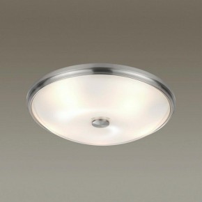 Накладной светильник Odeon Light Pelow 4957/5 в Режи - rezh.mebel24.online | фото 2