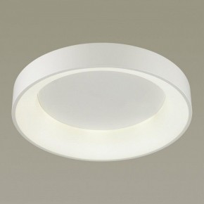 Накладной светильник Odeon Light Sole 4062/50CL в Режи - rezh.mebel24.online | фото 2