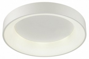 Накладной светильник Odeon Light Sole 4062/50CL в Режи - rezh.mebel24.online | фото 3