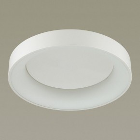 Накладной светильник Odeon Light Sole 4062/50CL в Режи - rezh.mebel24.online | фото 4