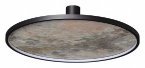 Накладной светильник Odeon Light Stoflake 5078/55L в Режи - rezh.mebel24.online | фото 4