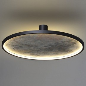 Накладной светильник Odeon Light Stoflake 5078/55L в Режи - rezh.mebel24.online | фото 8
