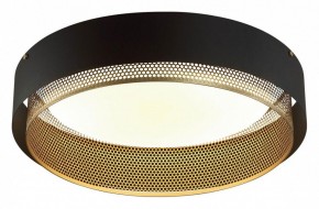 Накладной светильник Sonex Antey 7692/80L в Режи - rezh.mebel24.online | фото 3