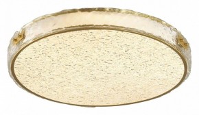 Накладной светильник Sonex Felice 7722/65L в Режи - rezh.mebel24.online | фото 3
