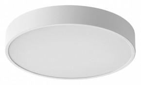 Накладной светильник Sonex Quasar 7755/48L в Режи - rezh.mebel24.online | фото