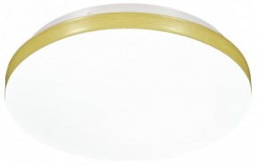 Накладной светильник Sonex Smalli 3066/AL в Режи - rezh.mebel24.online | фото 4