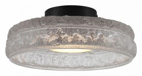 Накладной светильник ST-Luce ANTIKE SL6143.402.01 в Режи - rezh.mebel24.online | фото 2
