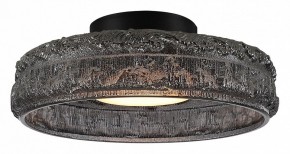 Накладной светильник ST-Luce ANTIKE SL6143.412.01 в Режи - rezh.mebel24.online | фото 2