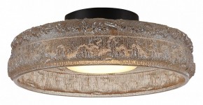 Накладной светильник ST-Luce ANTIKE SL6143.422.01 в Режи - rezh.mebel24.online | фото 3