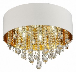 Накладной светильник ST-Luce Lacchia SL1350.502.06 в Режи - rezh.mebel24.online | фото 3