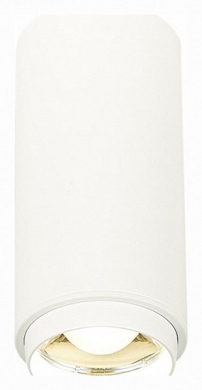 Накладной светильник ST-Luce Zoom ST600.542.10 в Режи - rezh.mebel24.online | фото 2