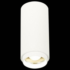 Накладной светильник ST-Luce Zoom ST600.542.10 в Режи - rezh.mebel24.online | фото 3