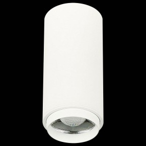 Накладной светильник ST-Luce Zoom ST600.542.10 в Режи - rezh.mebel24.online | фото 4