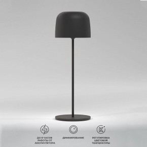 Настольная лампа декоративная Elektrostandard Bitty a069002 в Режи - rezh.mebel24.online | фото 2