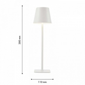Настольная лампа декоративная F-promo Pyari 4614-1T в Режи - rezh.mebel24.online | фото 3