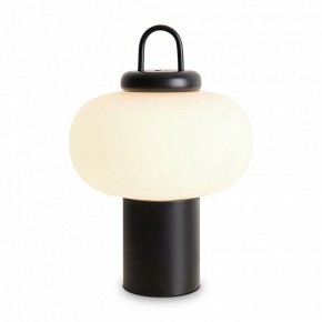 Настольная лампа декоративная Freya Take FR6175TL-L10B в Режи - rezh.mebel24.online | фото