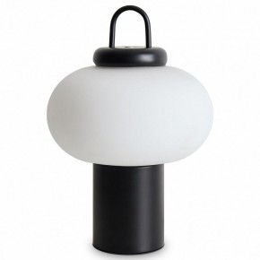Настольная лампа декоративная Freya Take FR6175TL-L10B в Режи - rezh.mebel24.online | фото 2