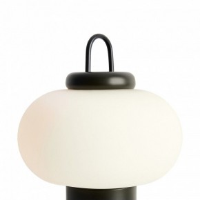 Настольная лампа декоративная Freya Take FR6175TL-L10B в Режи - rezh.mebel24.online | фото 5
