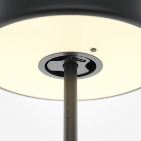 Настольная лампа декоративная Maytoni AI Collaboration MOD229TL-L3B3K2 в Режи - rezh.mebel24.online | фото 5