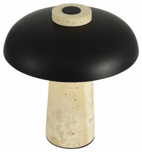 Настольная лампа декоративная ST-Luce Earthy SL1194.424.01 в Режи - rezh.mebel24.online | фото 5