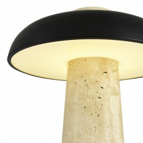 Настольная лампа декоративная ST-Luce Earthy SL1194.424.01 в Режи - rezh.mebel24.online | фото 6