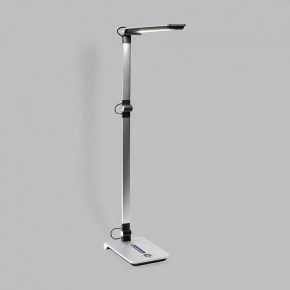 Настольная лампа офисная Elektrostandard Great a065289 в Режи - rezh.mebel24.online | фото 2