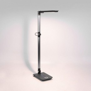 Настольная лампа офисная Elektrostandard Great a065290 в Режи - rezh.mebel24.online | фото 3