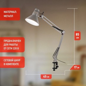 Настольная лампа офисная Эра N-121 Б0052758 в Режи - rezh.mebel24.online | фото 3