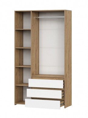 НЕКСТ 1 Шкаф комбинированный трехстворчатый в Режи - rezh.mebel24.online | фото 2