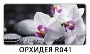 Обеденный раздвижной стол Бриз с фотопечатью Доска D111 в Режи - rezh.mebel24.online | фото 14