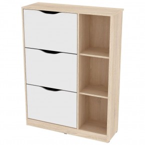 Обувница W38 (ДСС-Белый) в Режи - rezh.mebel24.online | фото