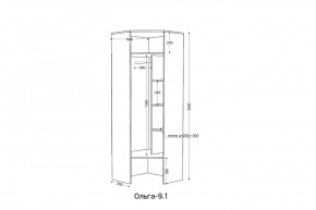 ОЛЬГА 9.1 Шкаф угловой без зеркала в Режи - rezh.mebel24.online | фото 2